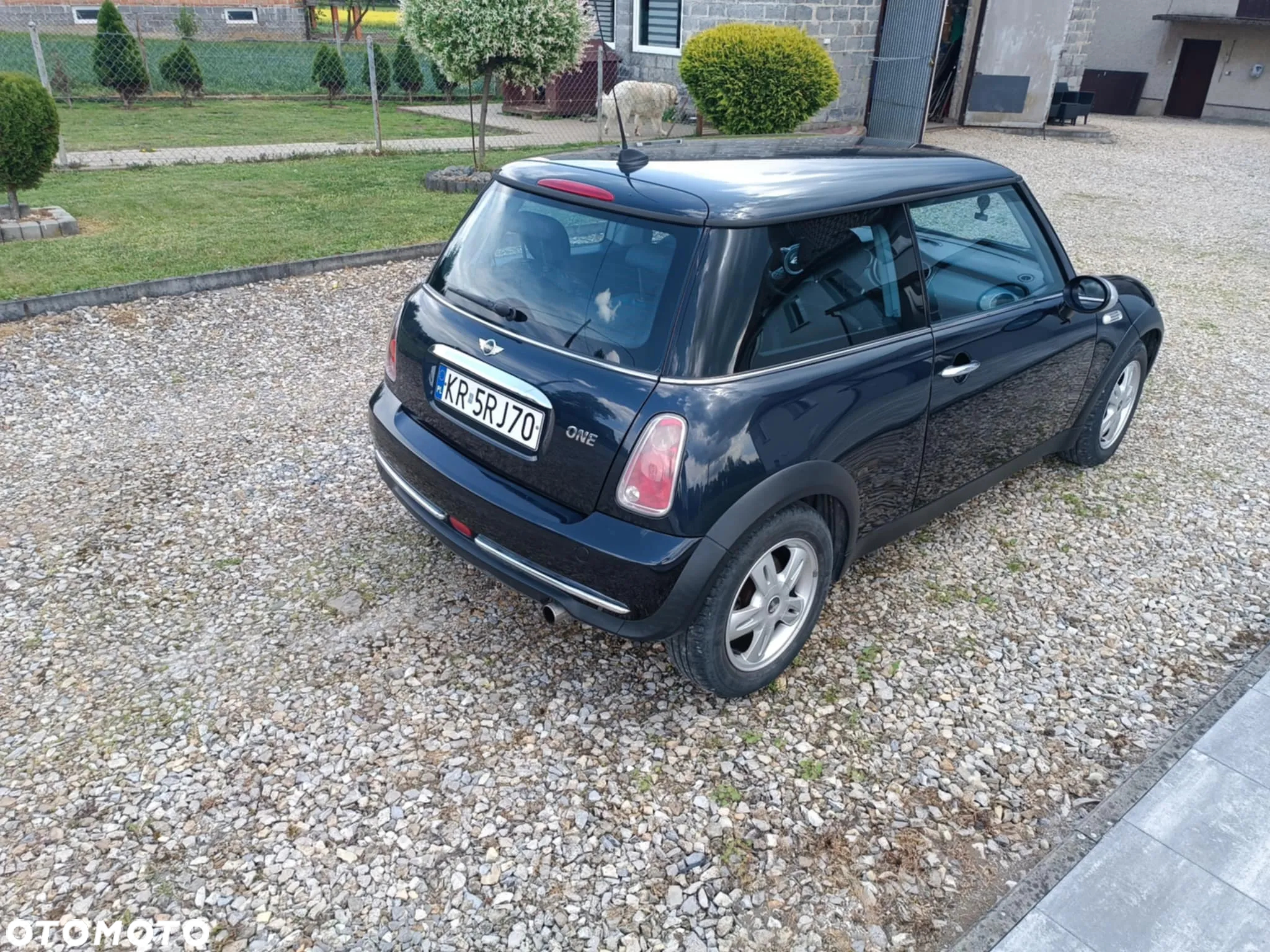 MINI ONE - 5
