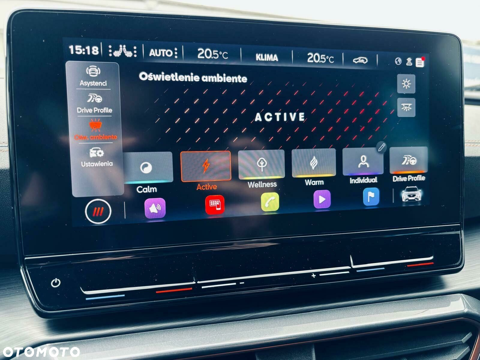 Cupra Formentor 2.0 TSI 4Drive DSG - 29