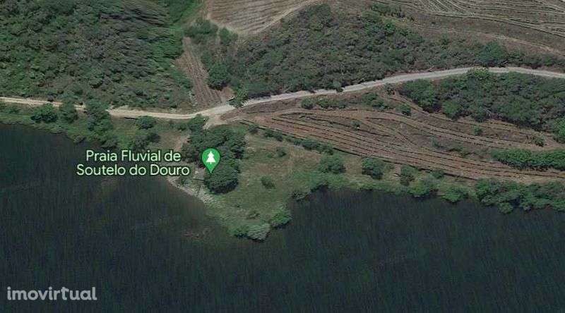 Quintinha no Douro com imóvel para recuperar - Grande imagem: 5/5