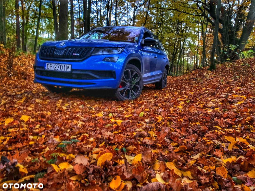 Skoda Kodiaq 2.0 Bi-TDI 4x4 RS DSG - 12