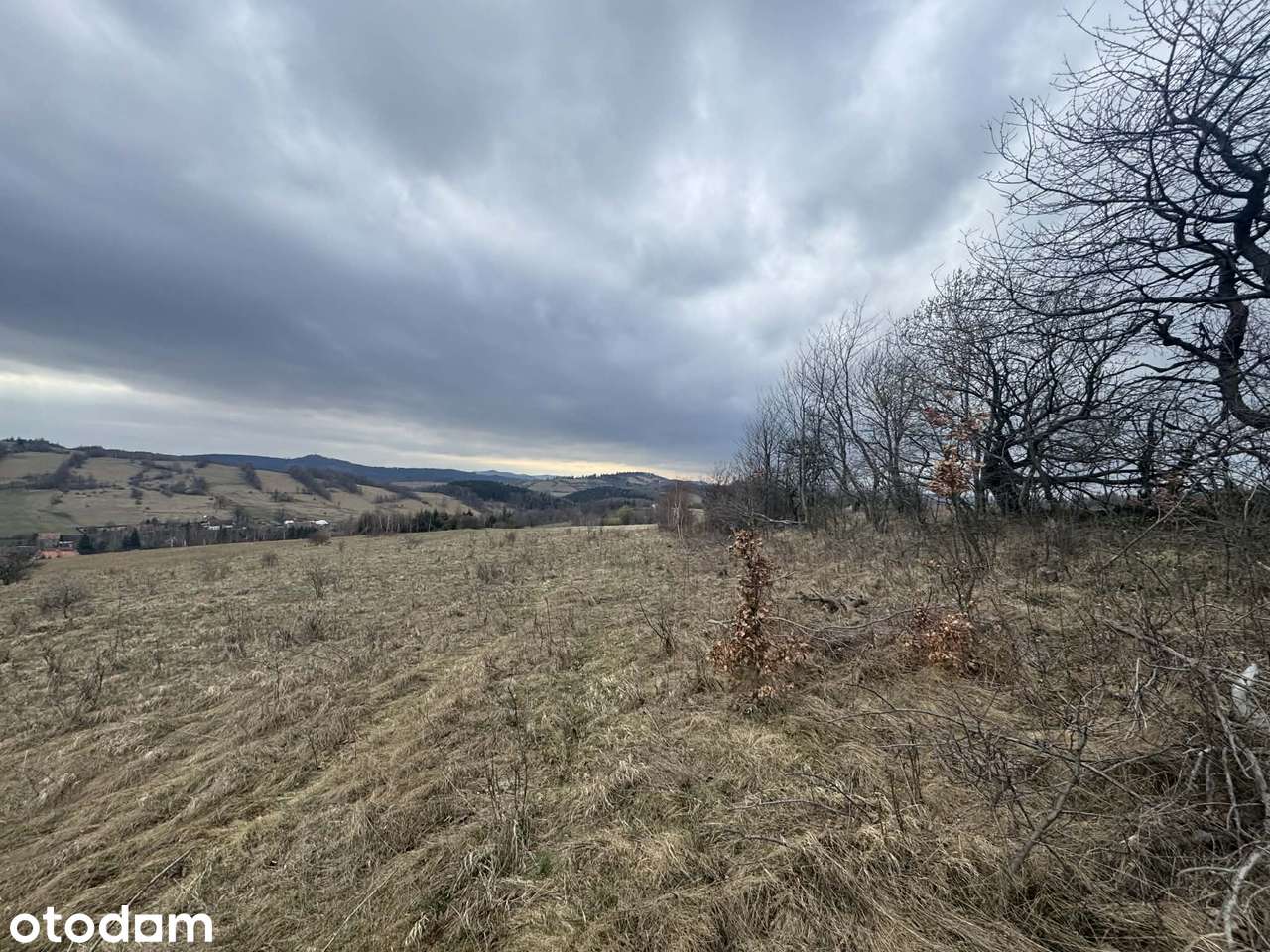 Widokowa piękna działka rolna Glinno 3000 m2 Góry Sowie - Pełny obrazek: 4/10