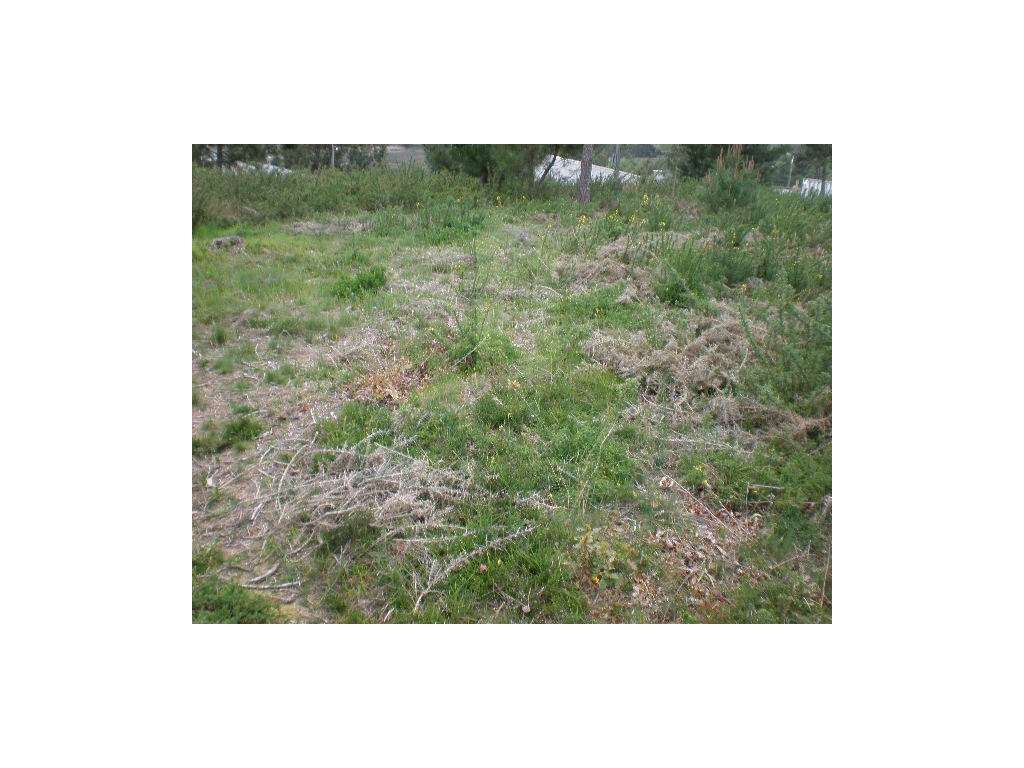 Terreno com vista de Rio em Seixas para venda. - Grande imagem: 4/7