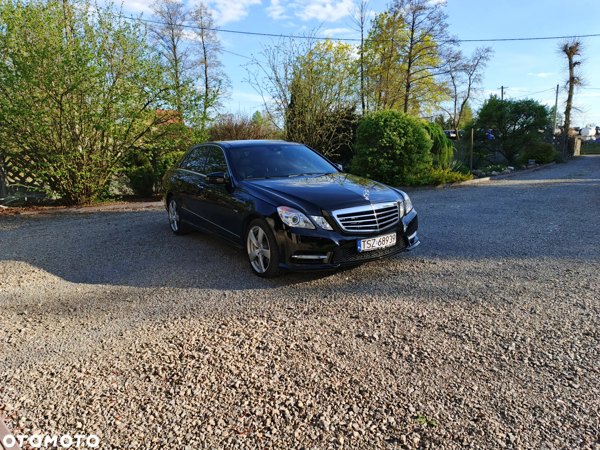 Mercedes-Benz Klasa E 500 4-Matic BlueEff Elegance - 2