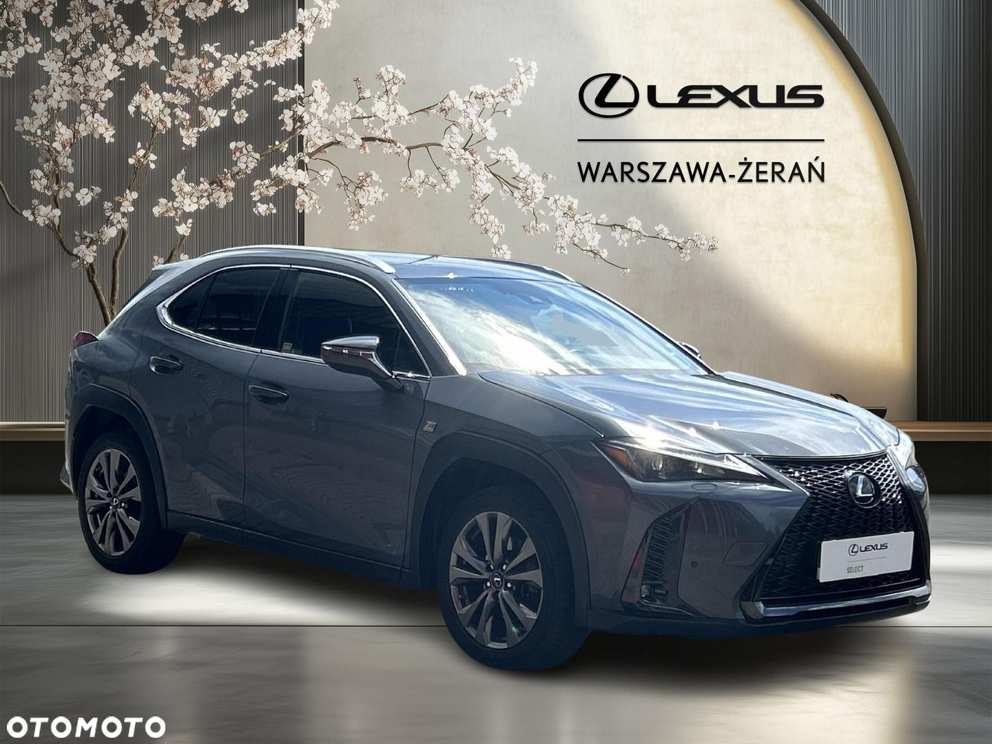 Lexus UX 250h GPF F Sport Design 2WD - 9
