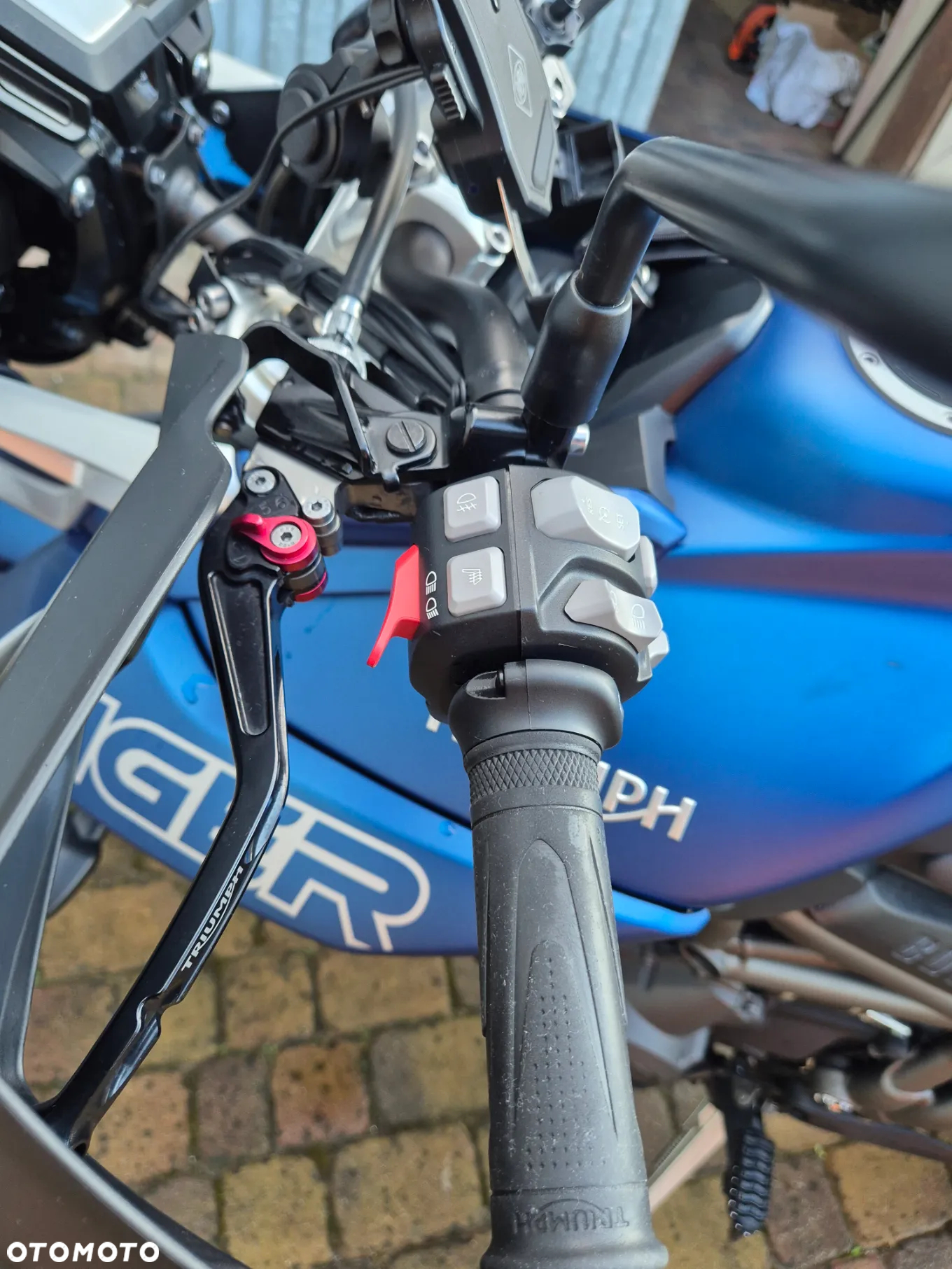 Triumph Tiger