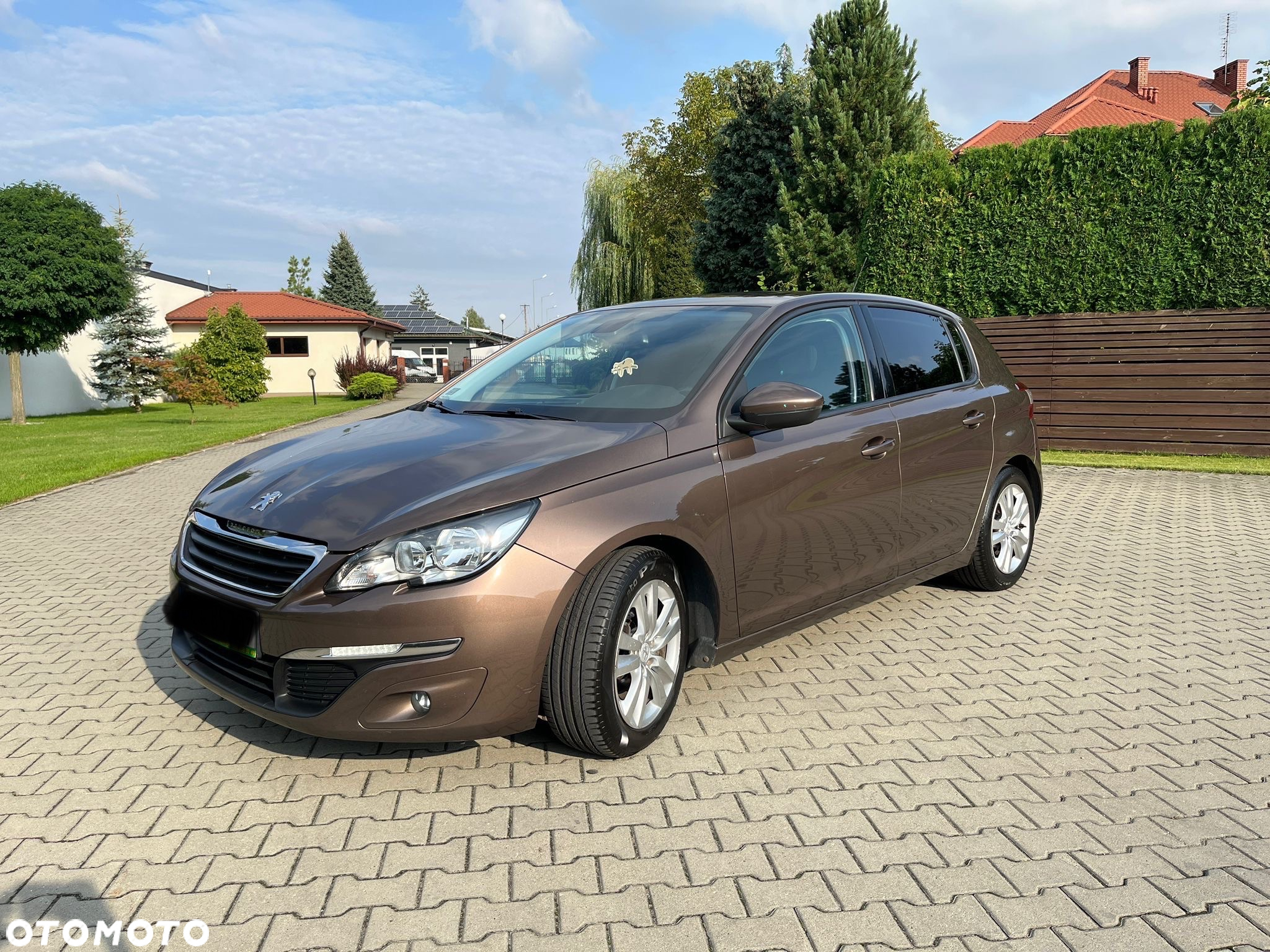 Peugeot 308 - 13