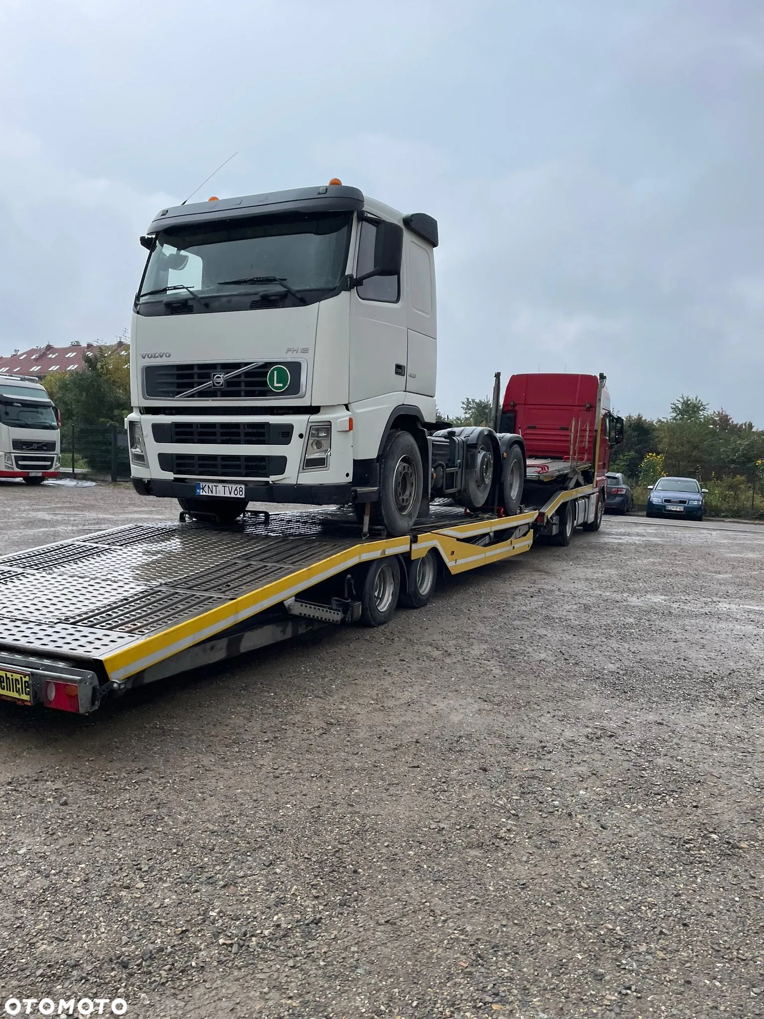 MAN TGX - 28