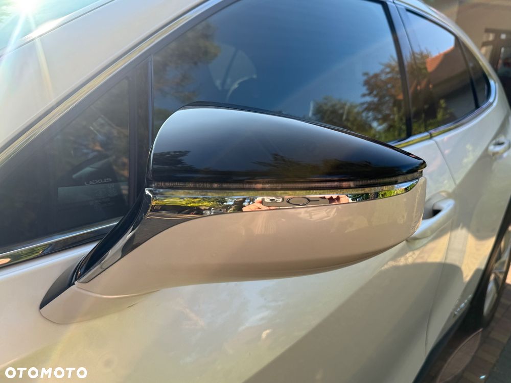 Lexus UX 250h Elegance 2WD - 10