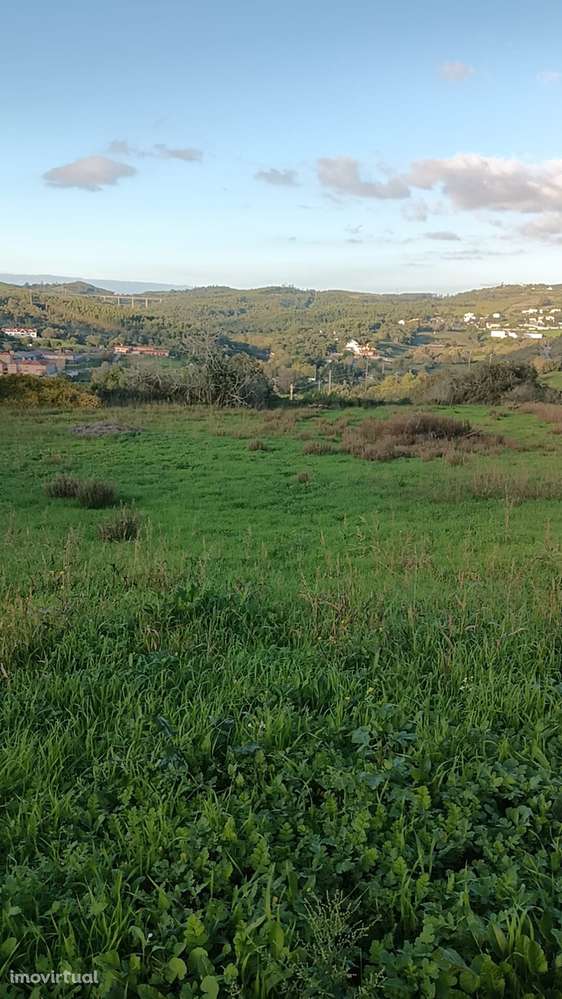 Terreno  Venda em Malveira e São Miguel de Alcainça,Mafra - Grande imagem: 3/17