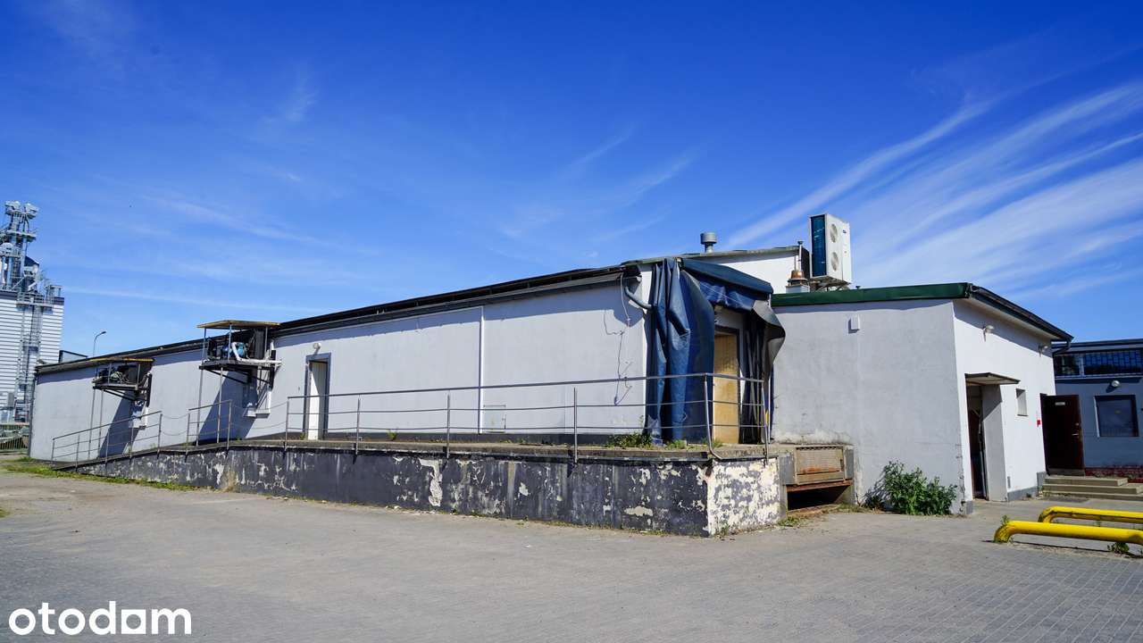 Budynek mroźnia 370m² idealny pod funkcje produkcyjno-magazynowe - Pełny obrazek: 5/8