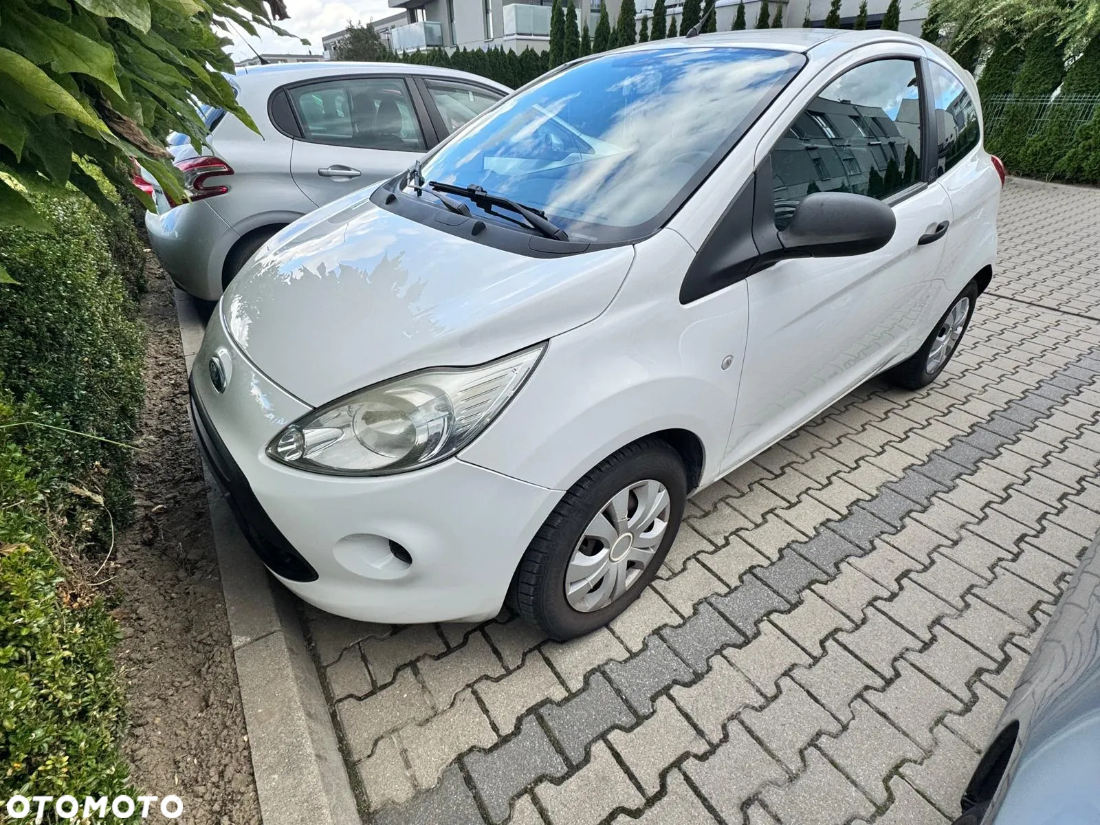 Ford KA 1.2 Ambiente - 2