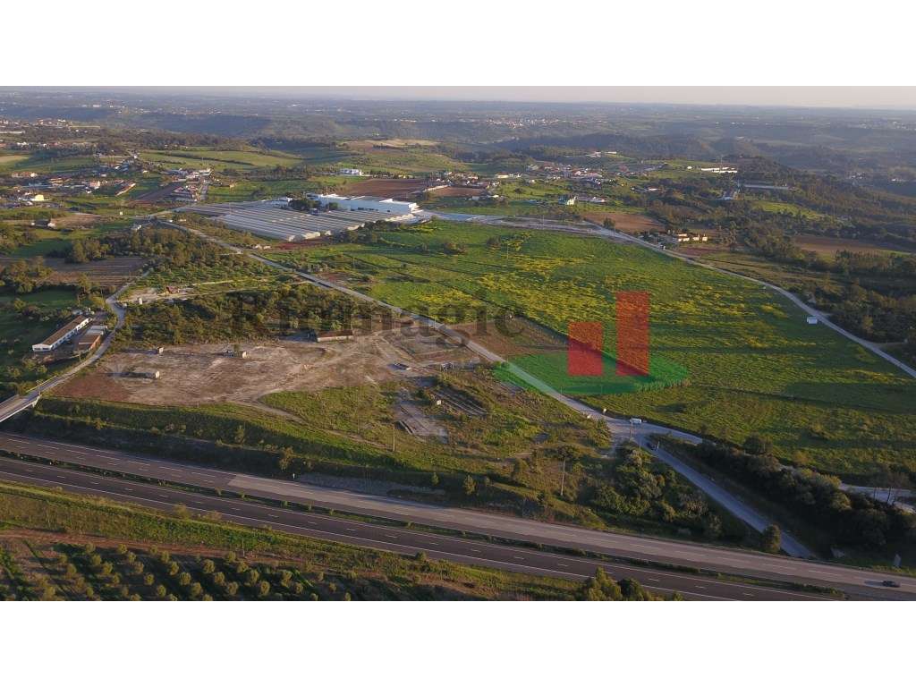 Terreno em Malaqueijo - Rio Maior ***RIOMAGIC*** - Grande imagem: 2/12