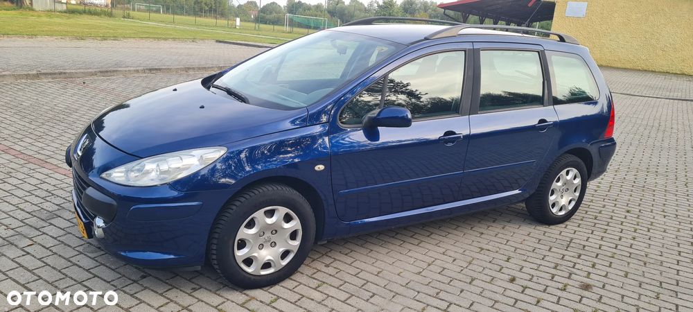 Peugeot 307 110 Premium - 27
