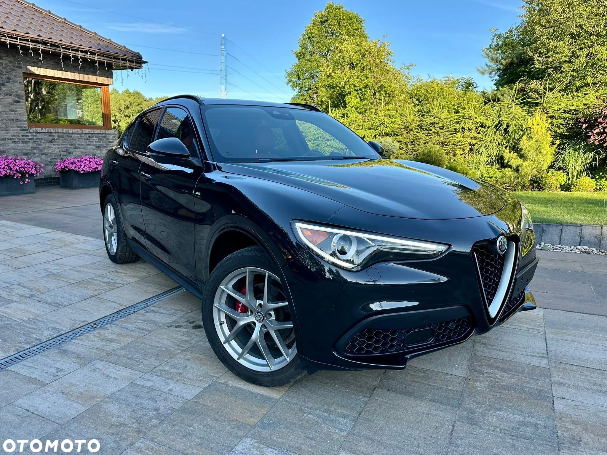 Alfa Romeo Stelvio - 1