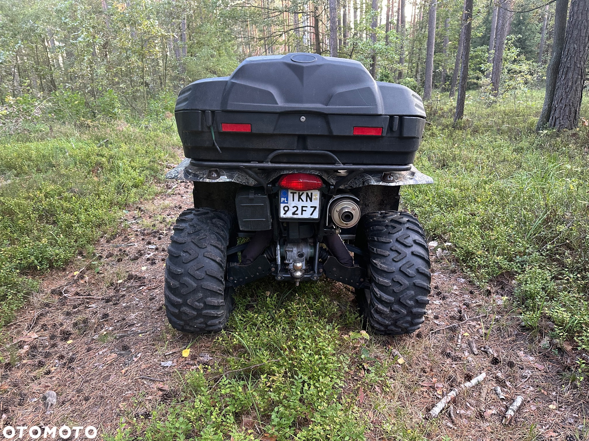Suzuki Kingquad