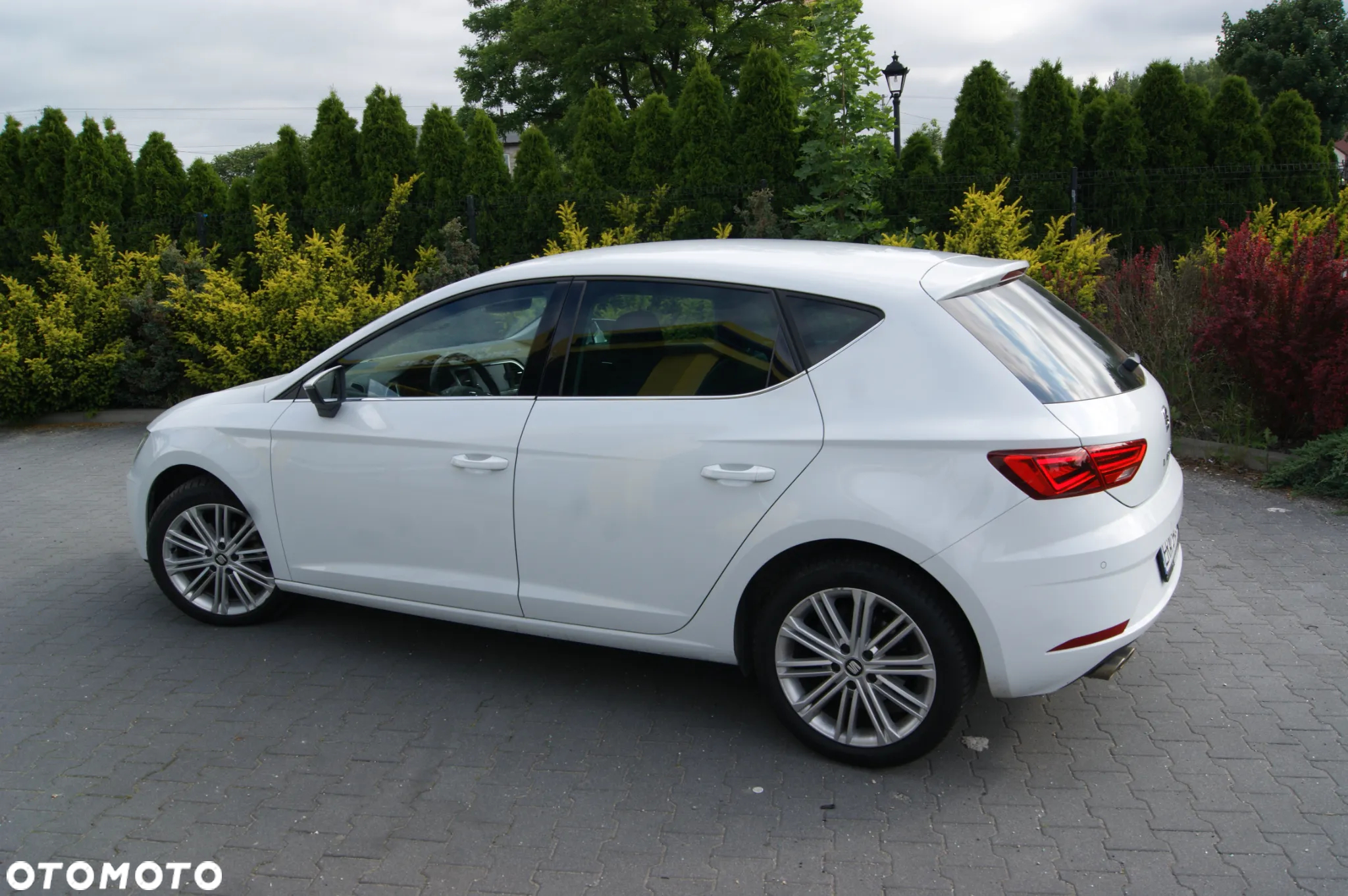 Seat Leon 1.5 TSI ACT OPF Xcellence Plus - 7