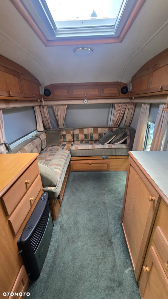 Avondale Avocet Golden - 2