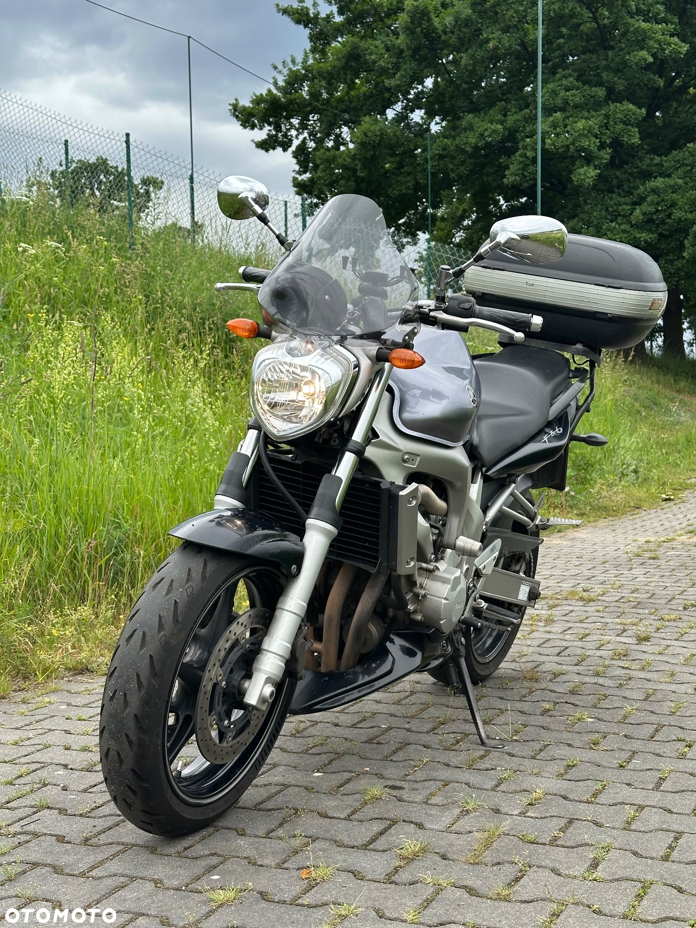 Yamaha FZ6 - 8
