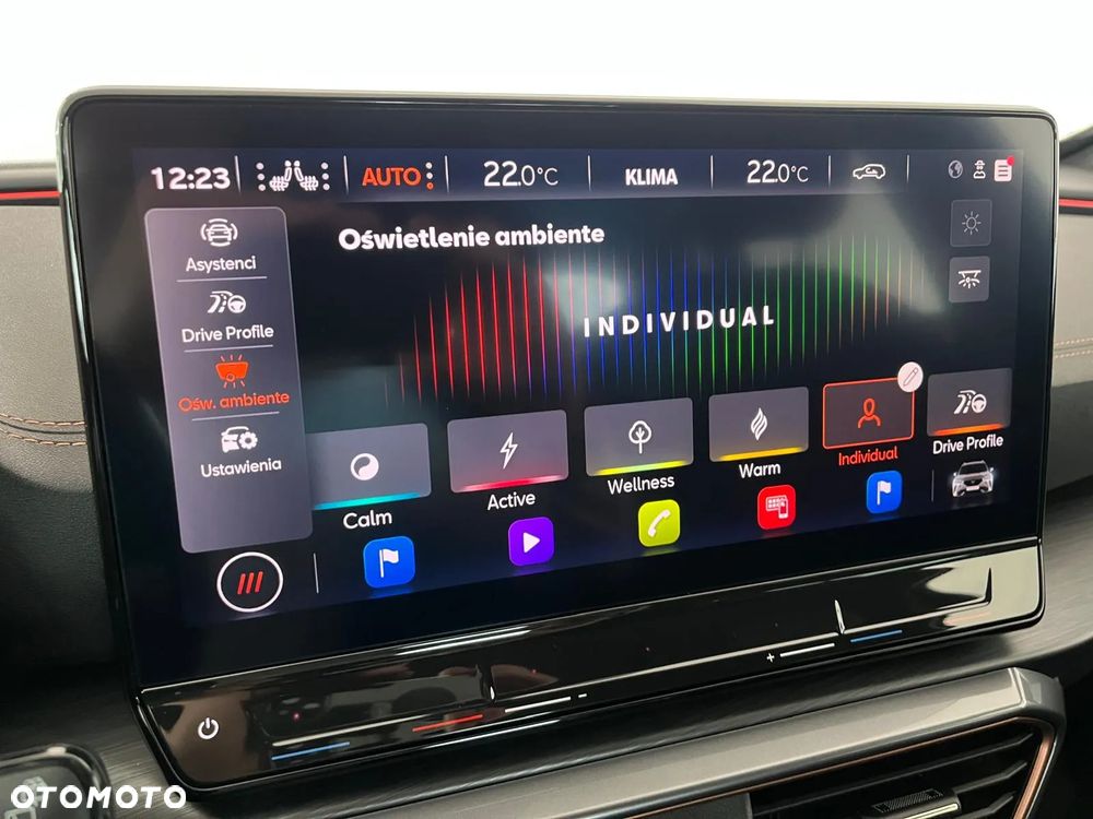 Cupra Formentor 1.5 TSI - 29