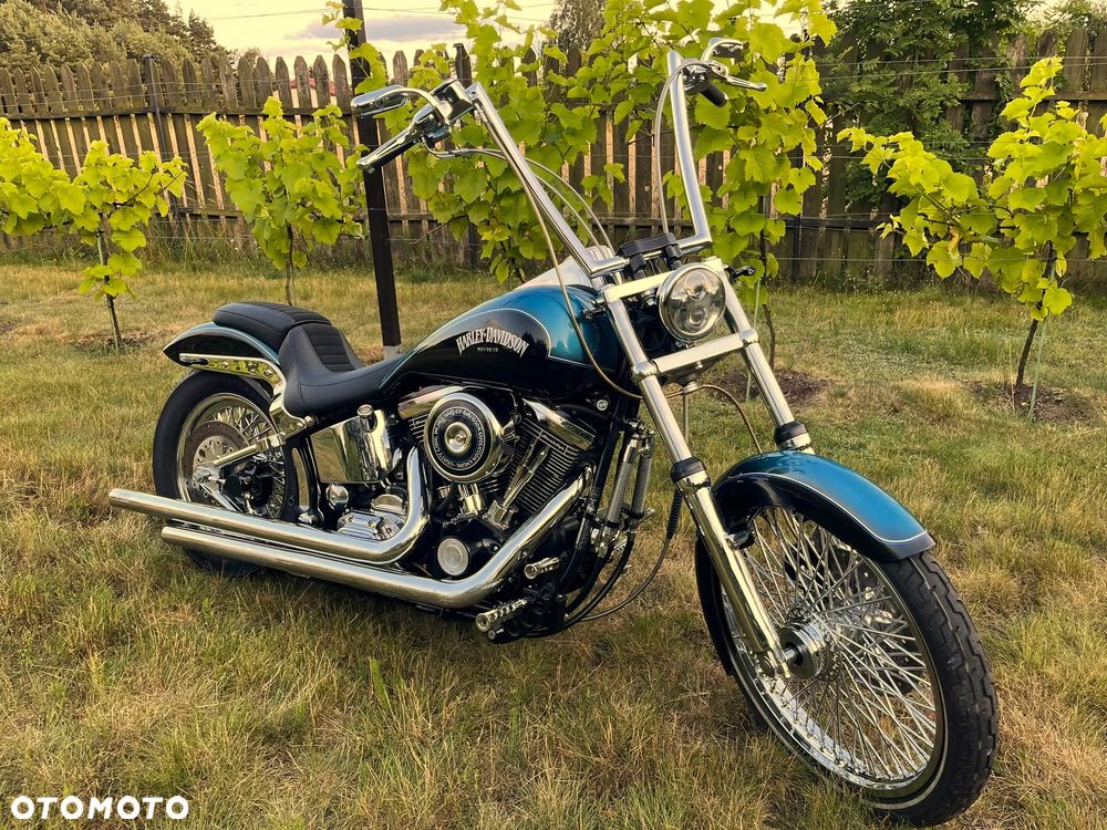 Harley-Davidson Softail Standard - 10