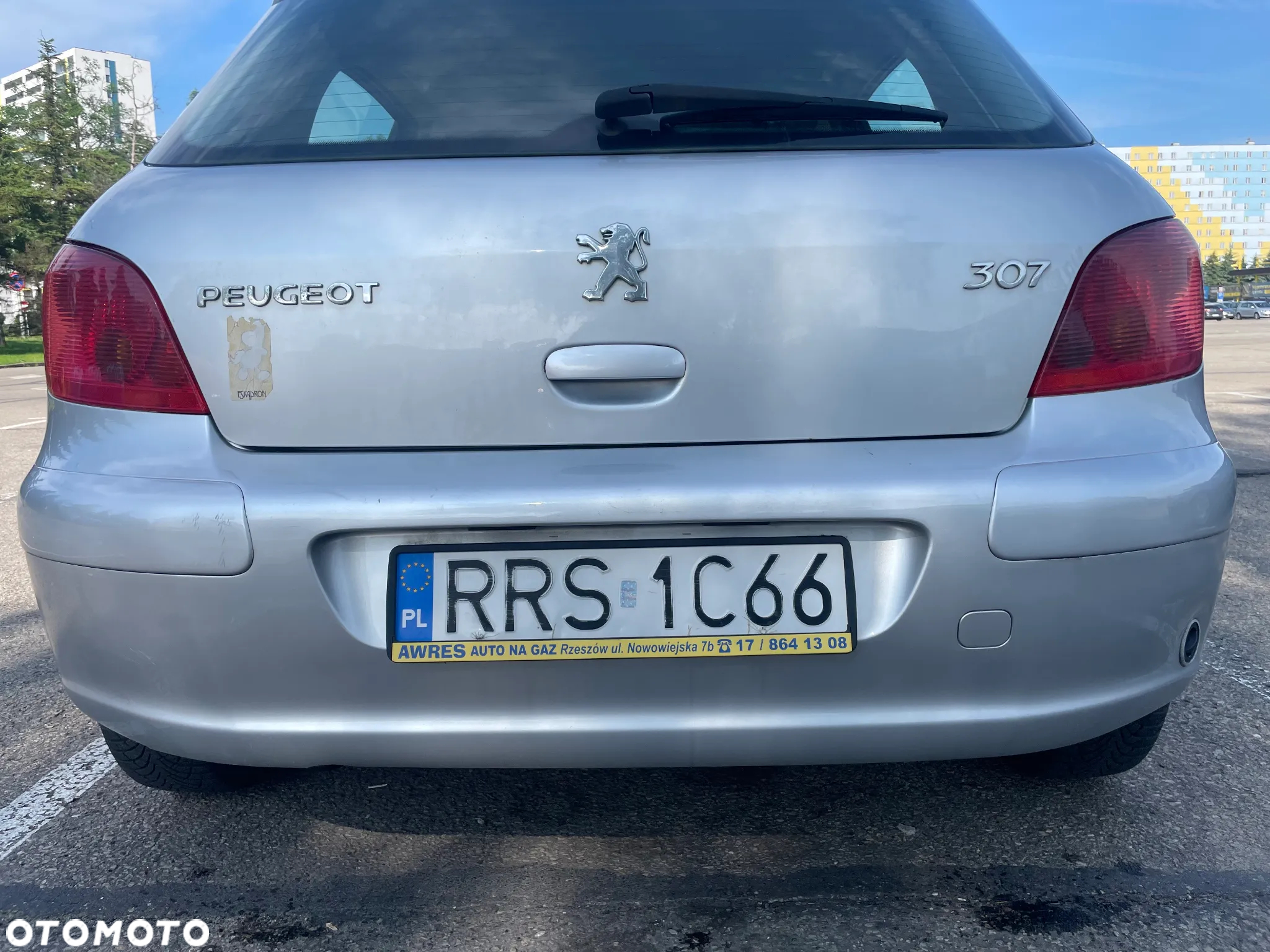 Peugeot 307 - 16