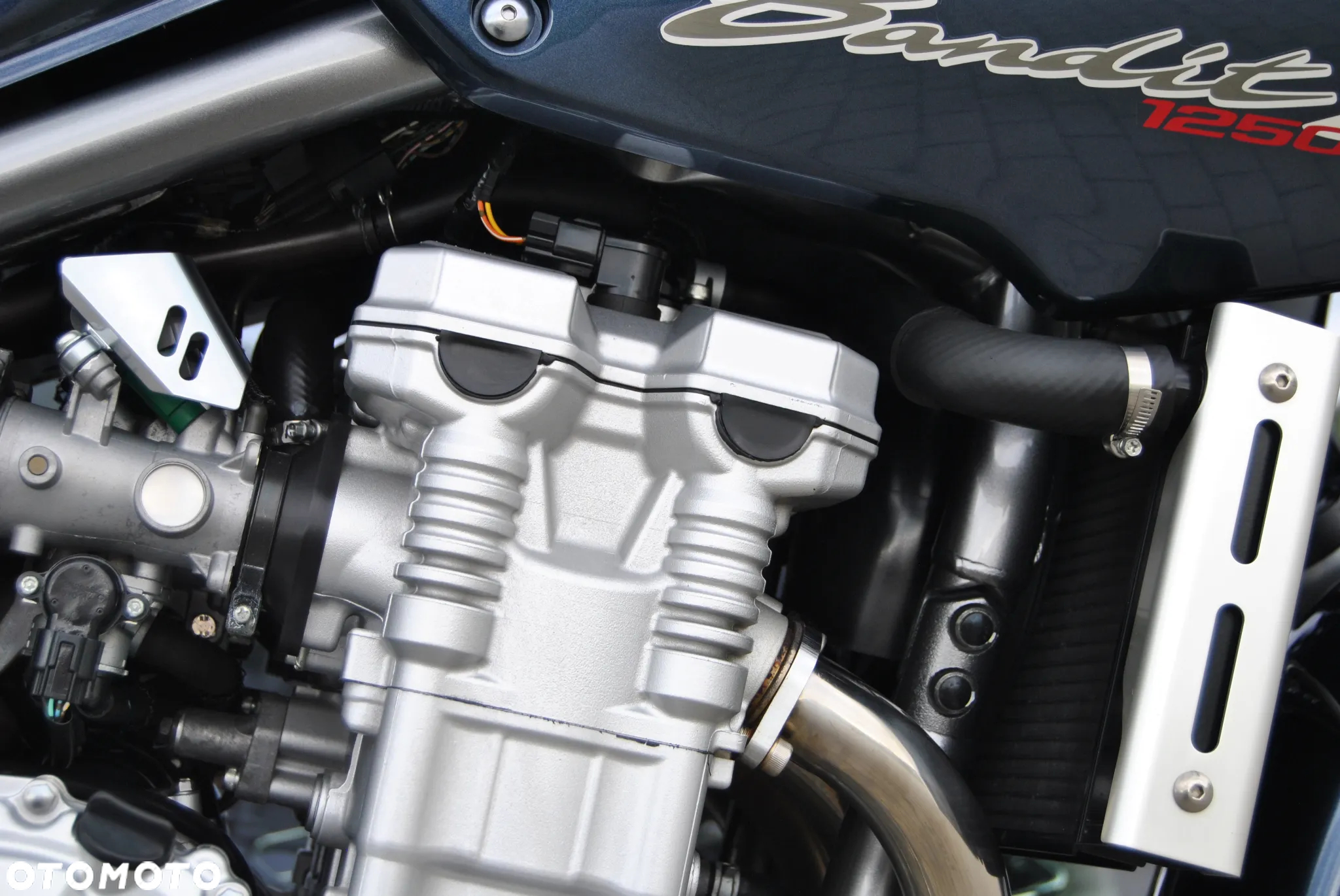 Suzuki Bandit - 24