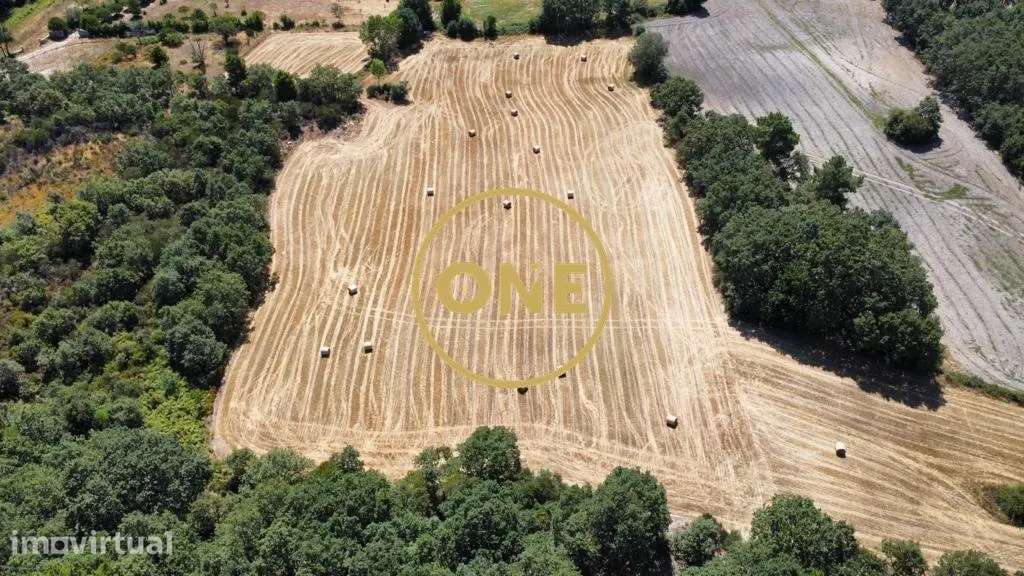 Terreno Rústico Oucidres - Chaves 2.590m2 - Grande imagem: 5/7