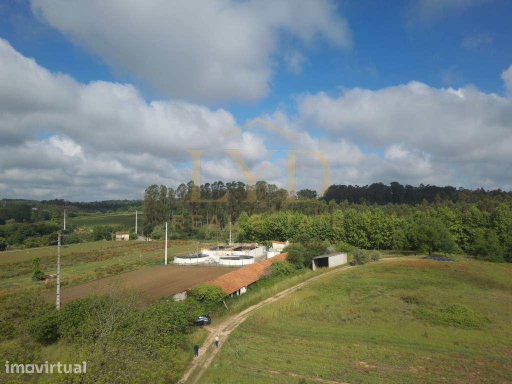 Armazém para venda em Amoreira da Gândara, Anadia | Antigos aviário... - Grande imagem: 3/20