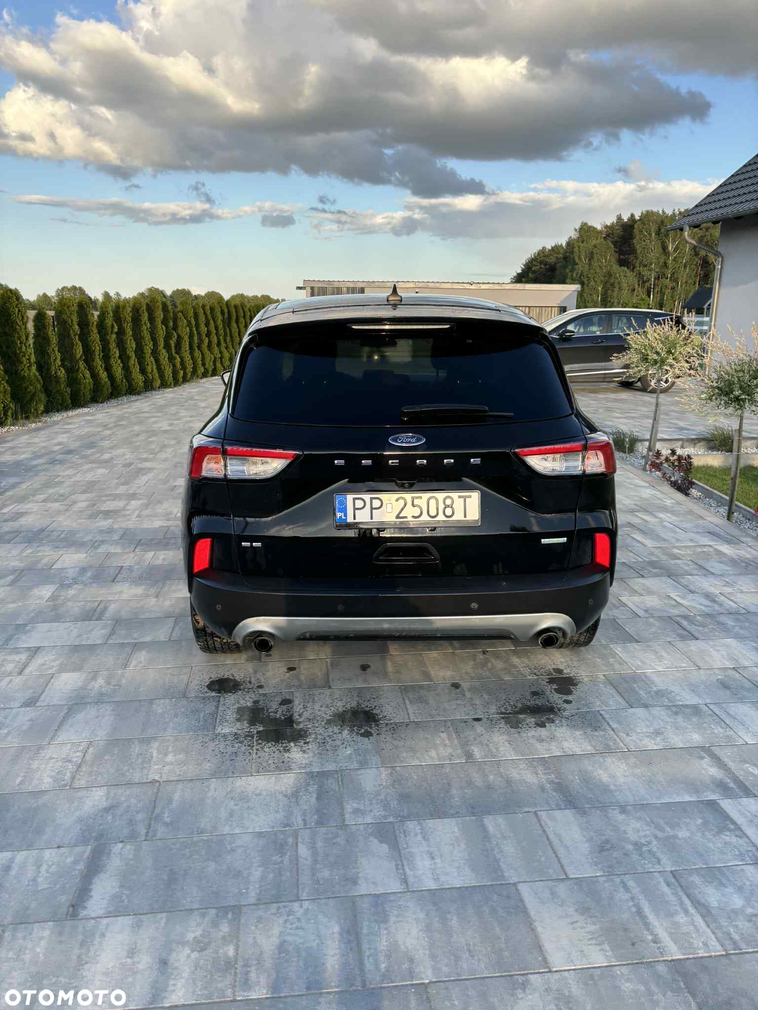 Ford Escape - 4