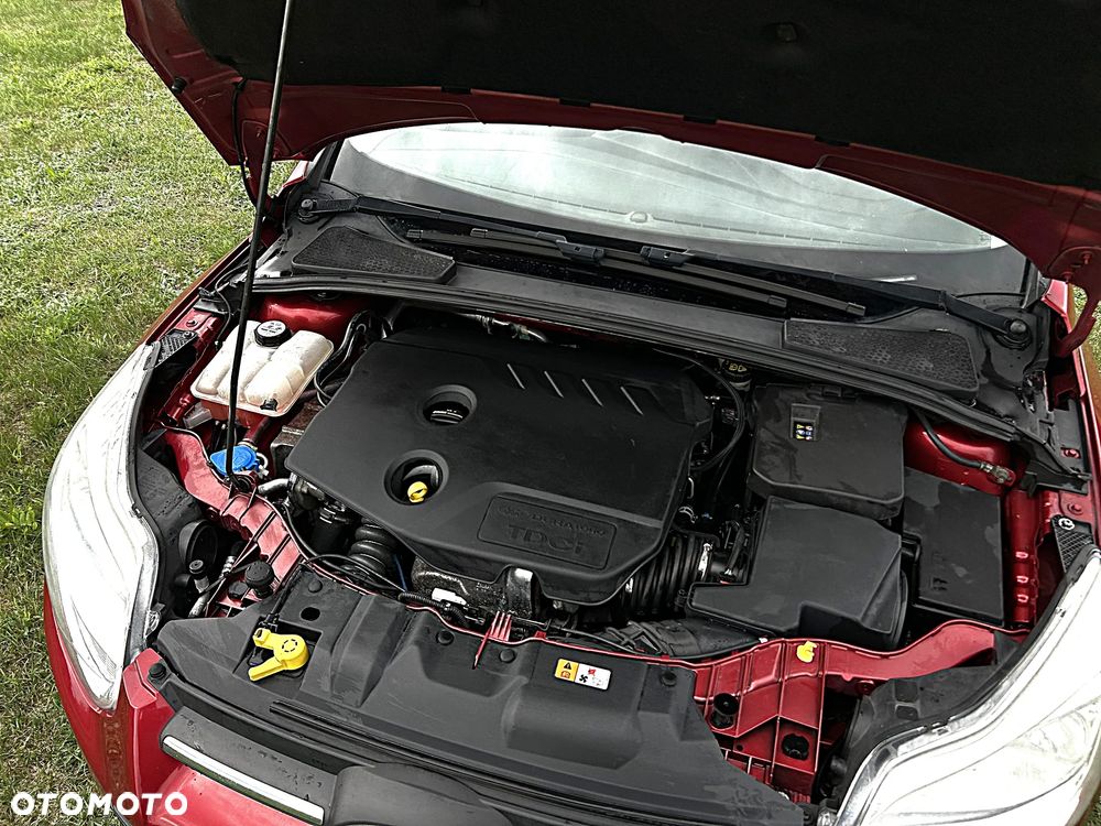 Ford Focus 1.6 TDCi DPF Champions Edition - 17