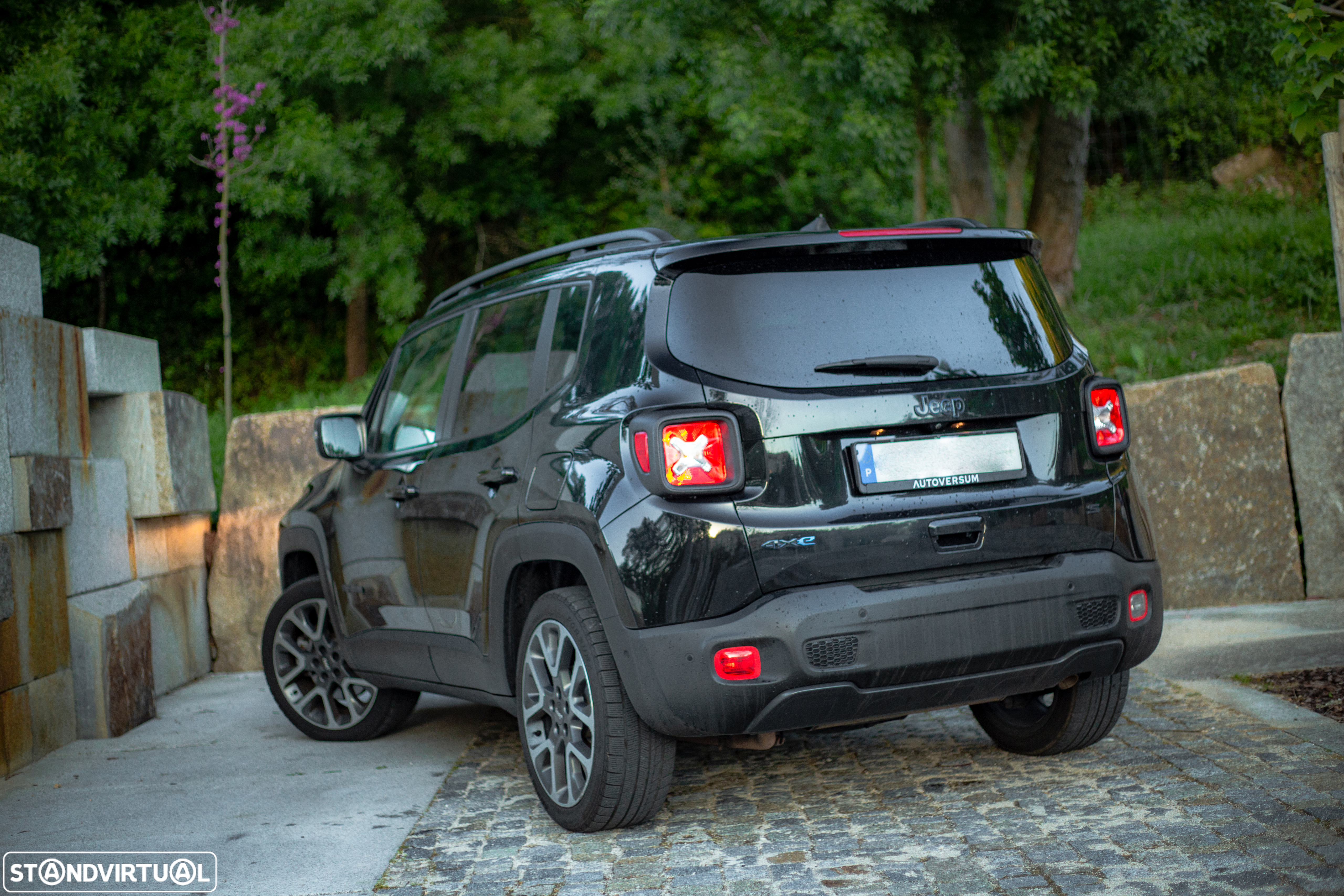 Jeep Renegade 1.3 TG 4Xe S - 2