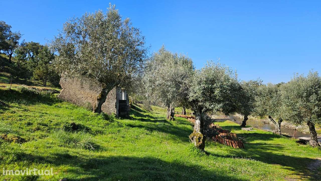 Terreno  para venda - Grande imagem: 3/12