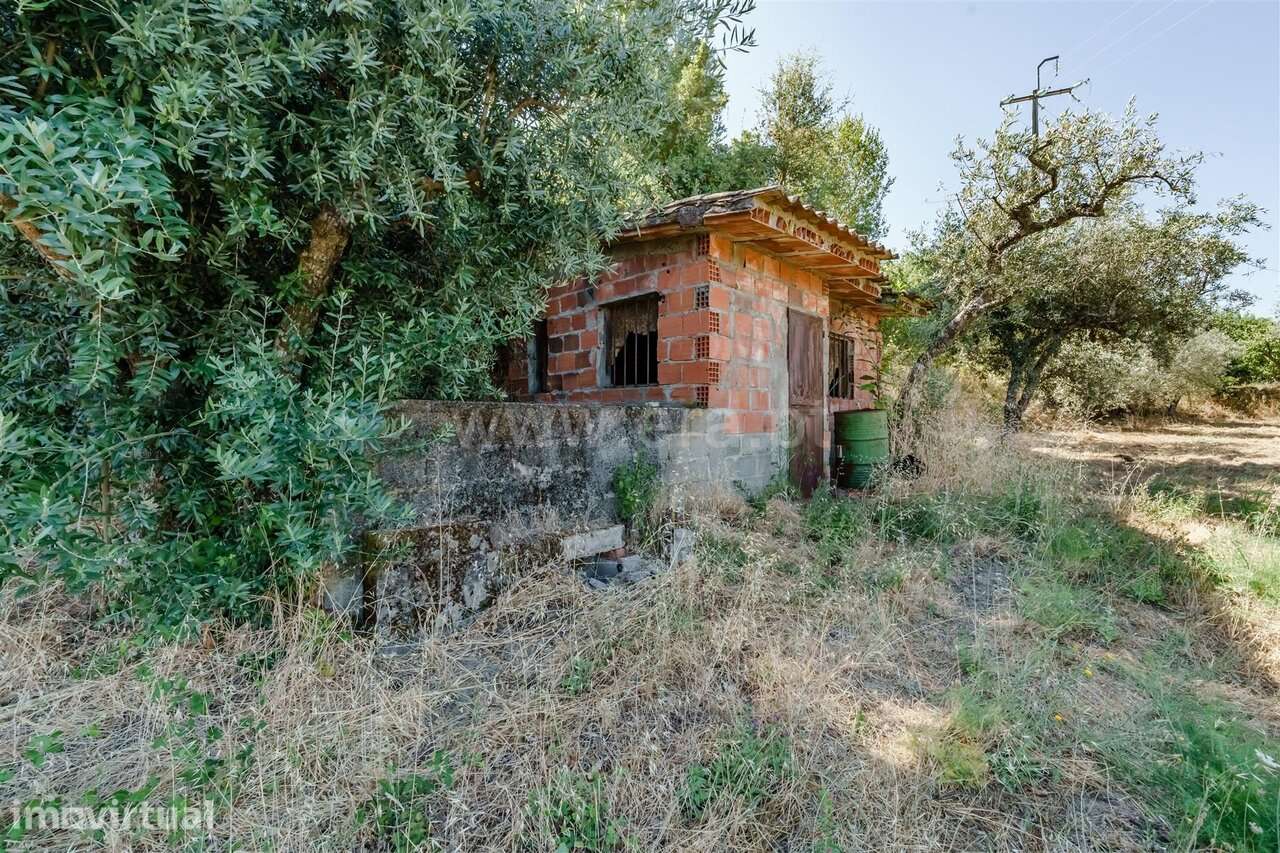 Terreno para Construção Estúdio / Fundão, Souto da Casa - Grande imagem: 4/17