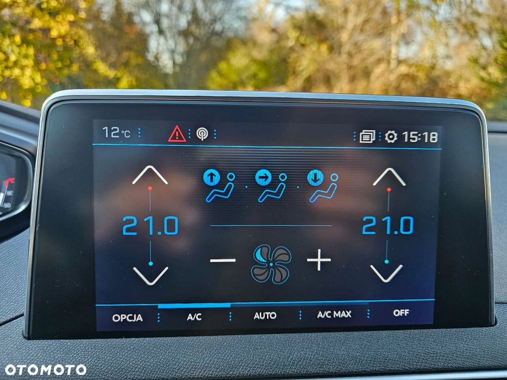 Peugeot 3008 1.6 PureTech GPF Crossway S&S EAT8 - 15