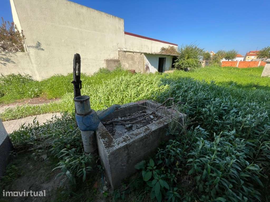 TERRENO P/ CONSTRUÇÃO - MURTOSA - Grande imagem: 5/11