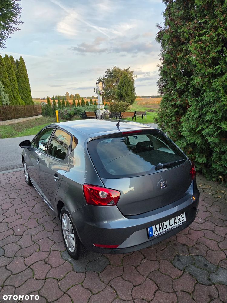 Seat Ibiza - 25