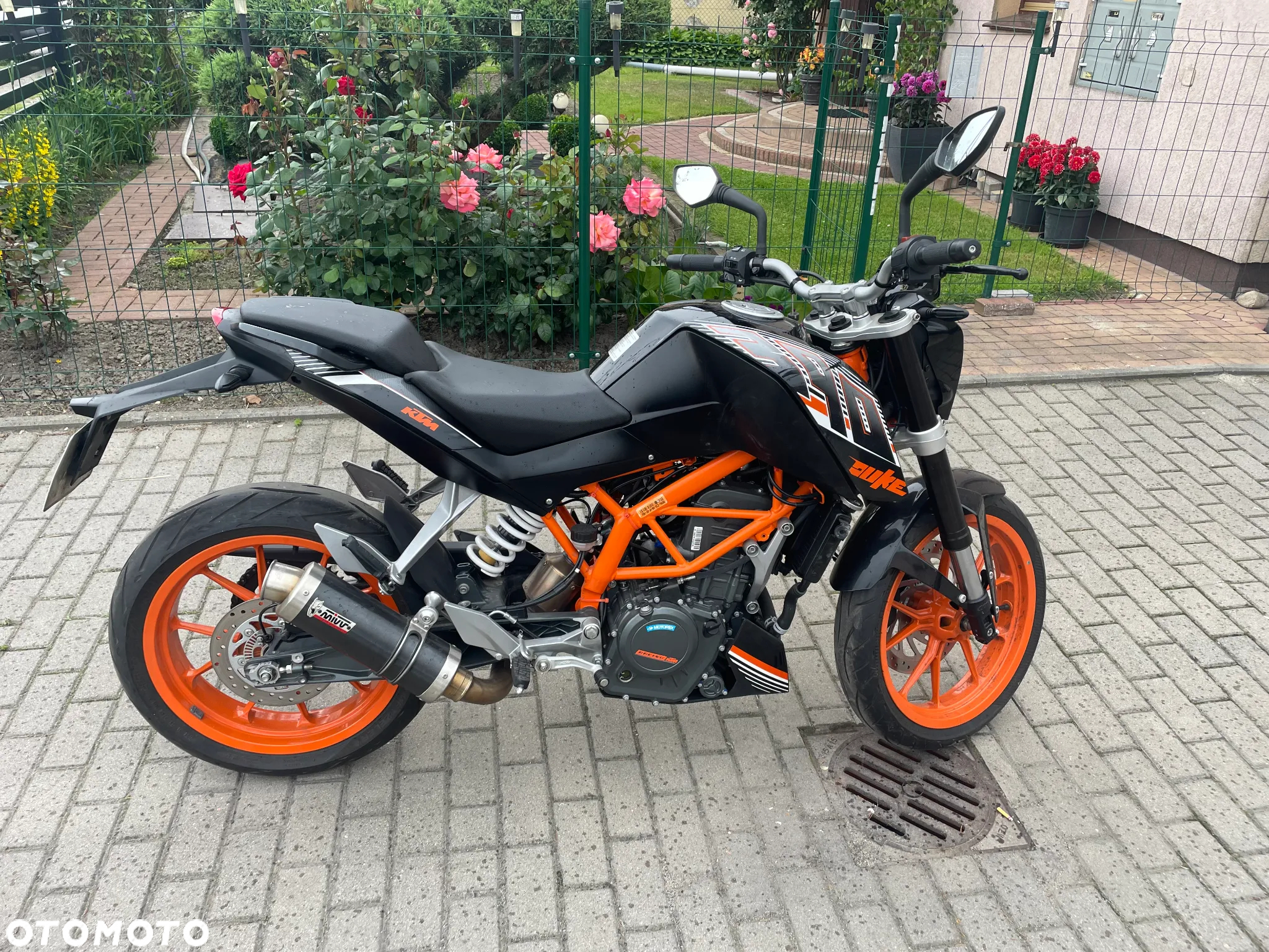 KTM Duke - 4