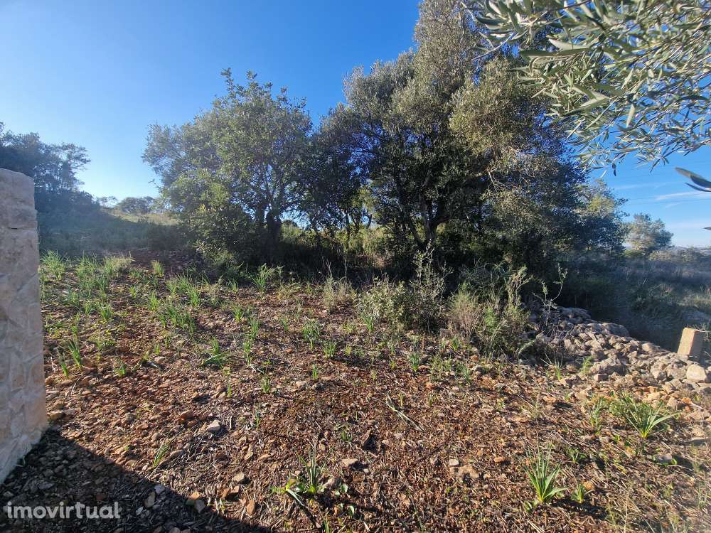 Terreno Misto com Projeto Aprovado e Licenciado - Tunes - Grande imagem: 2/31