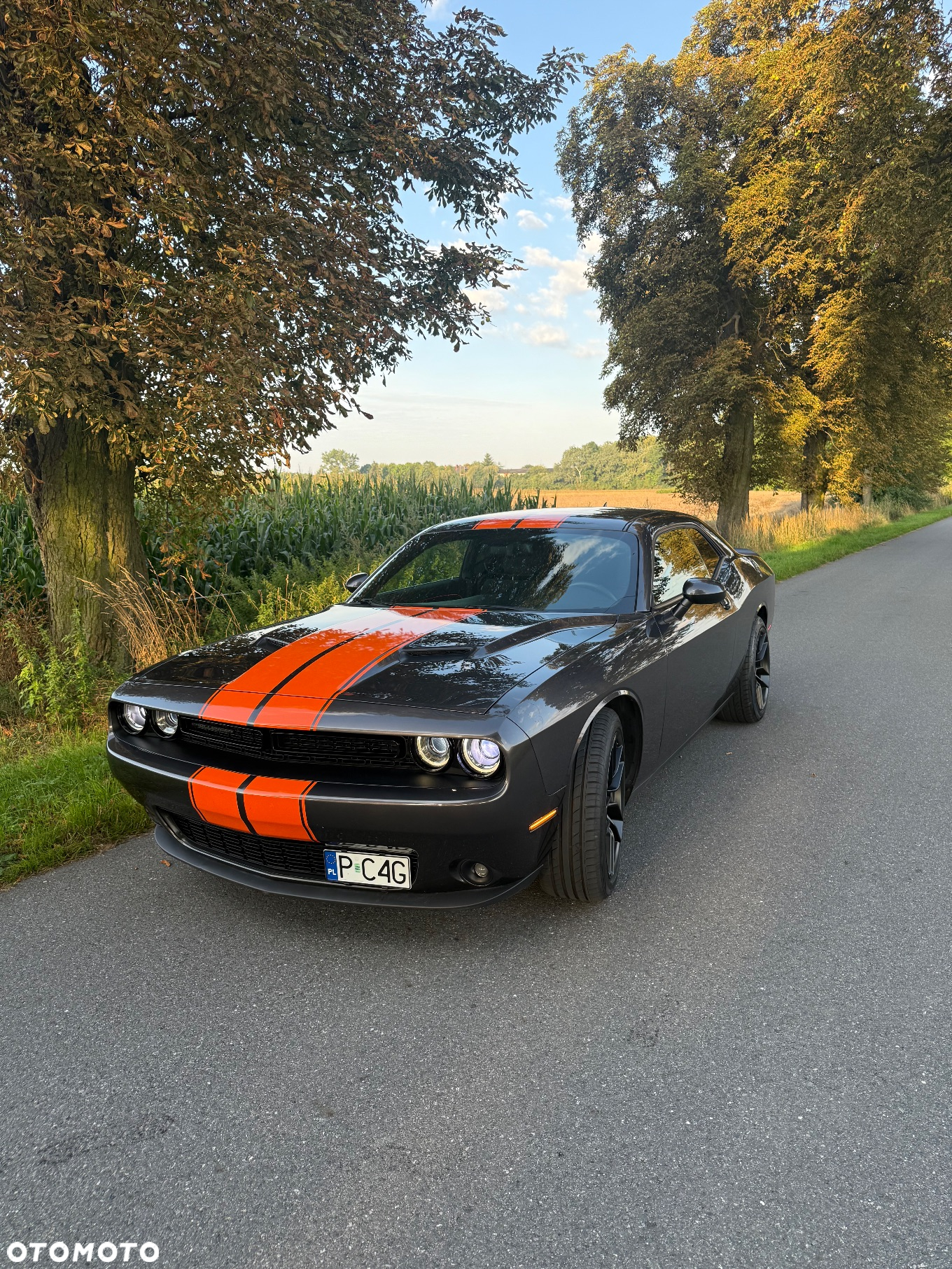Dodge Challenger Automatik SXT Plus - 15