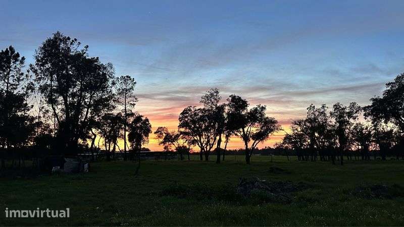 Monte Alentejano - Grande imagem: 5/8