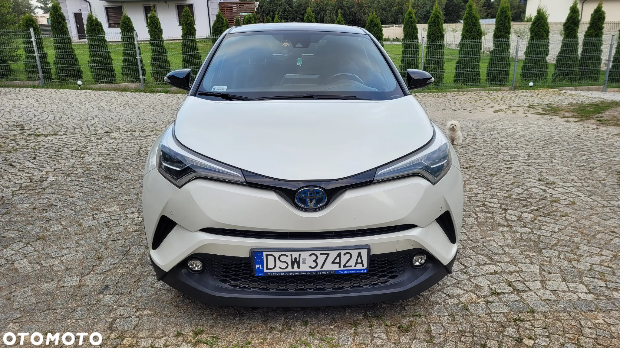 Toyota C-HR 1.8 Hybrid Prestige - 9
