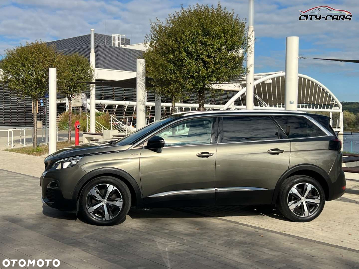 Peugeot 5008 - 6