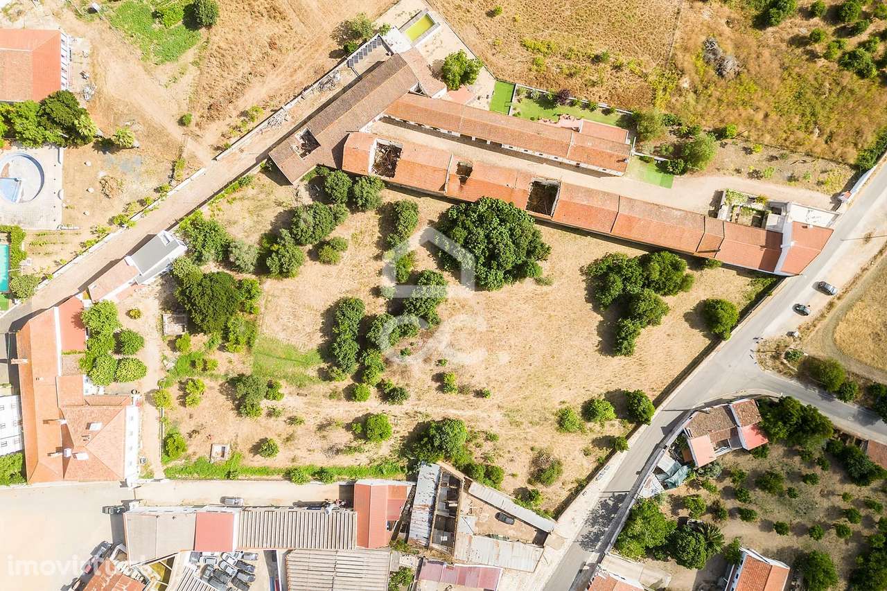 Terreno de 7 169 m²  c/ Viabilidade de Construção | Alvito, Beja - Grande imagem: 2/22