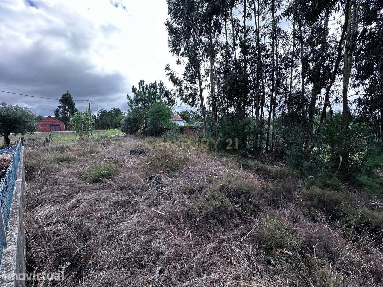 Terreno com viabilidade de construção | 1.800 m² | Fontanheiras de Cim - Grande imagem: 2/14