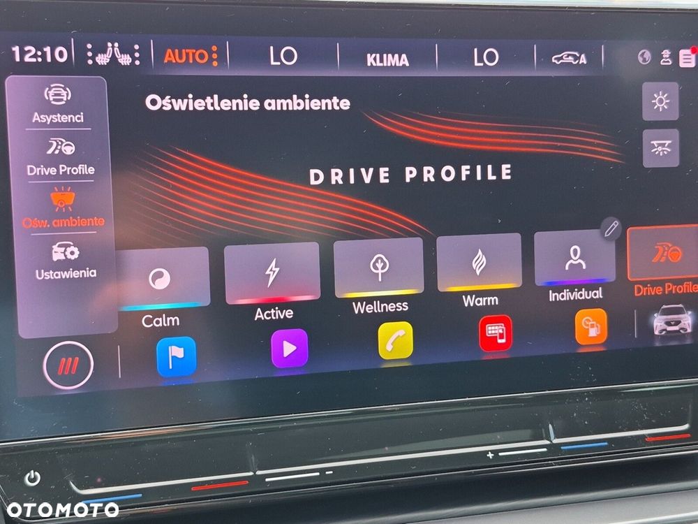 Cupra Formentor 2.0 TSI VZ DSG - 36