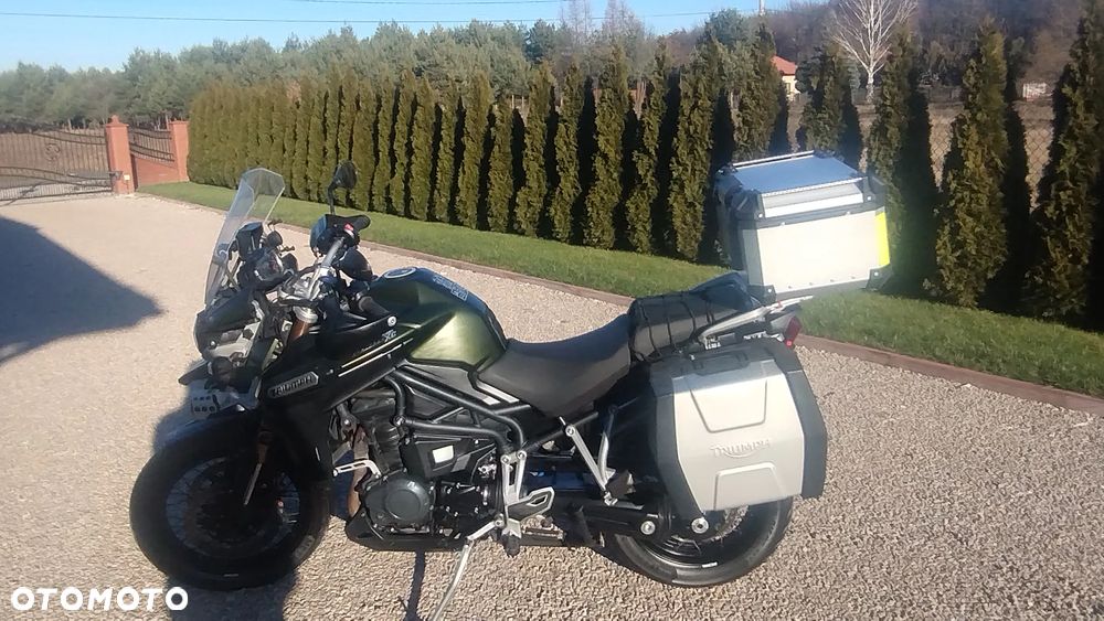 Triumph Tiger - 5