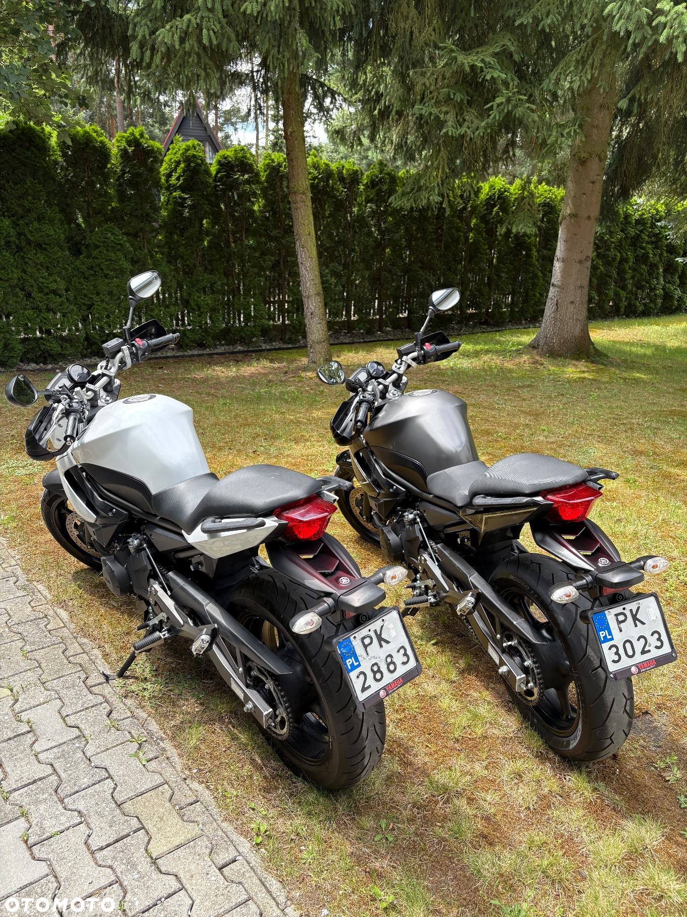 Yamaha XJ - 3