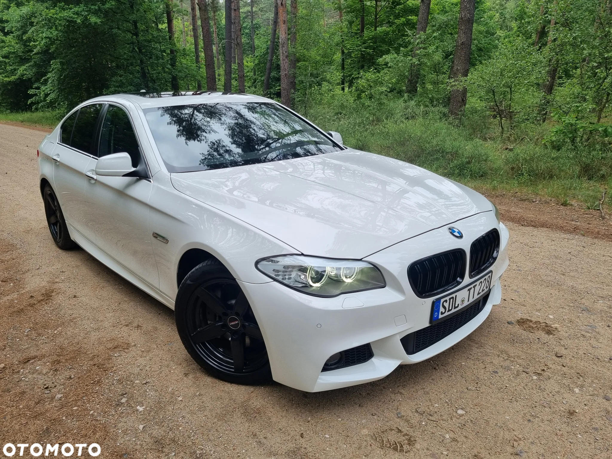 BMW Seria 5 530d xDrive - 22