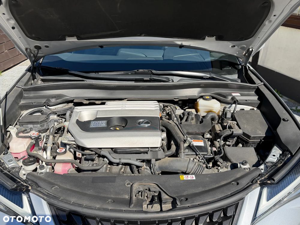 Lexus UX 250h (E-FOUR) Luxury Line - 19