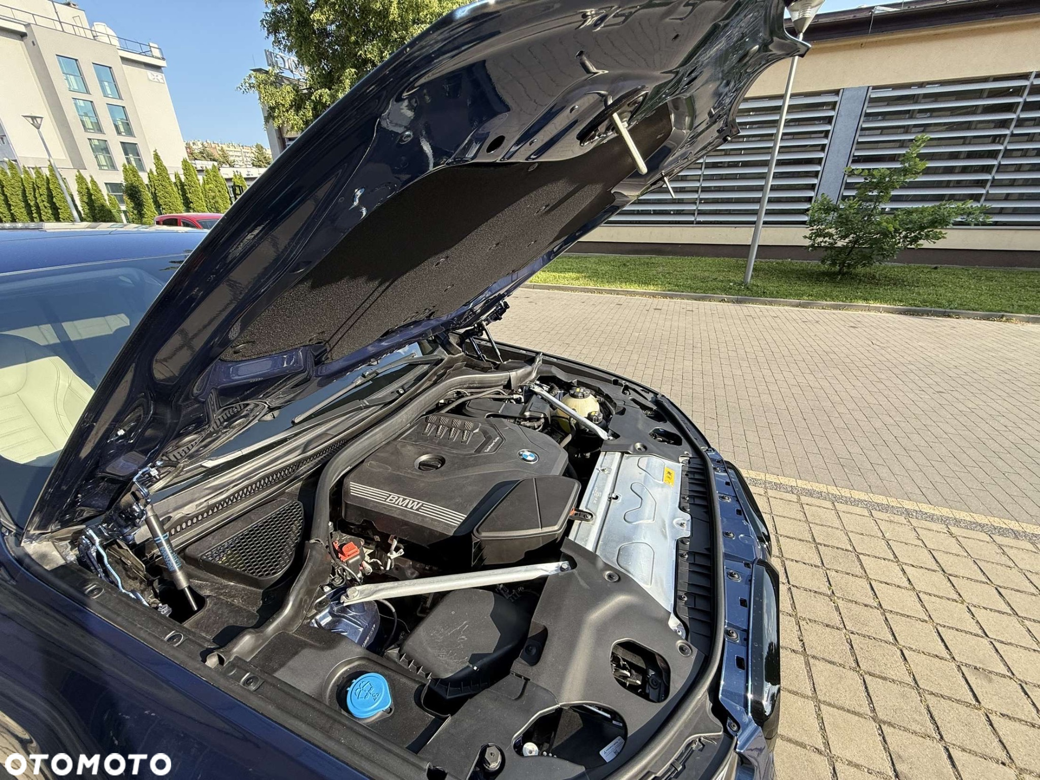 BMW X4 xDrive30i M Sport Edition - 30
